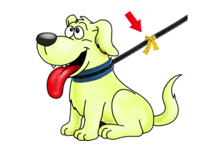 Yellow-Dog