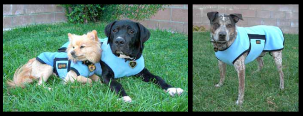 animalstars.com: apache river coats