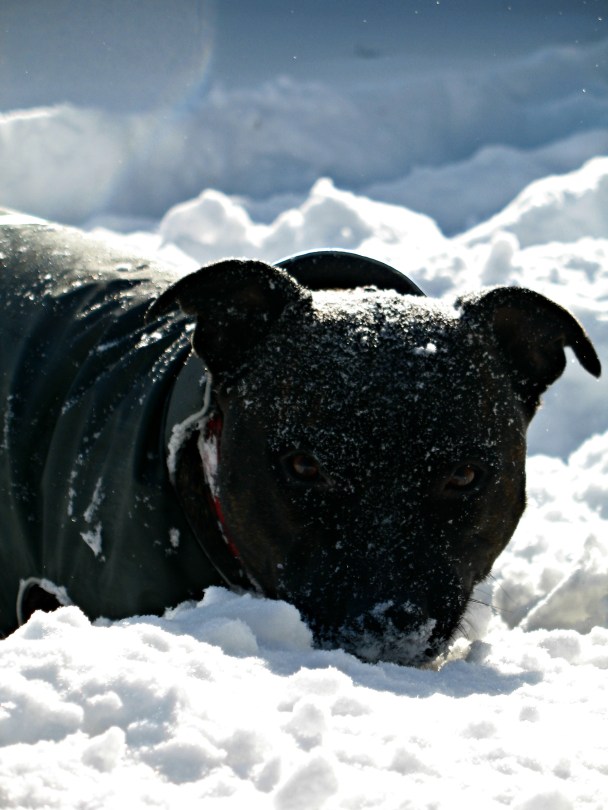 And then it was time to go inside and warm up...