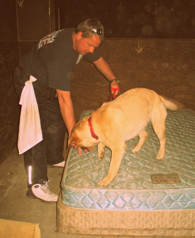 state farm arson dog training