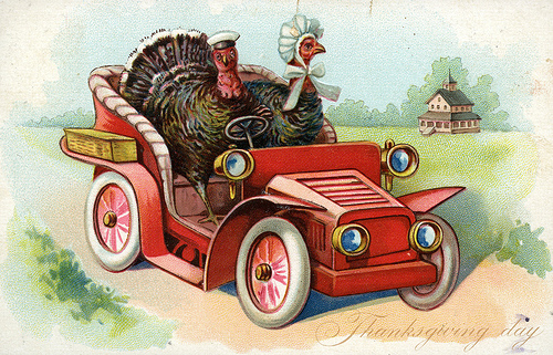 Why bother with a harness when turkeys can clearly drive themselves to town? (source)