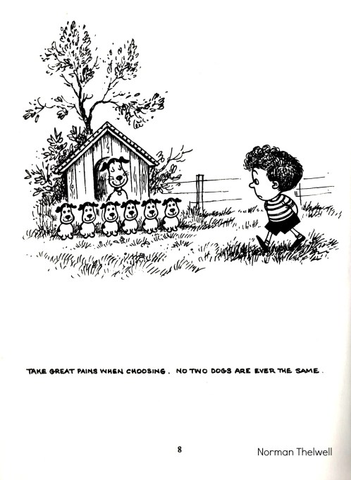 Top Dog by Norman Thelwell