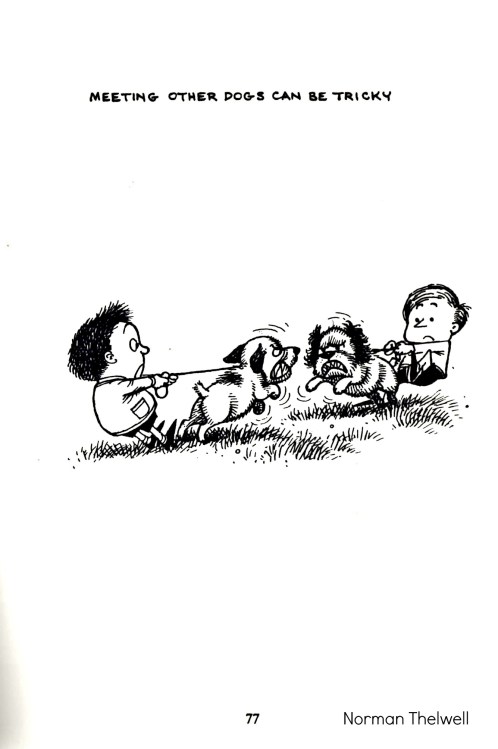 Top Dog by Norman Thelwell