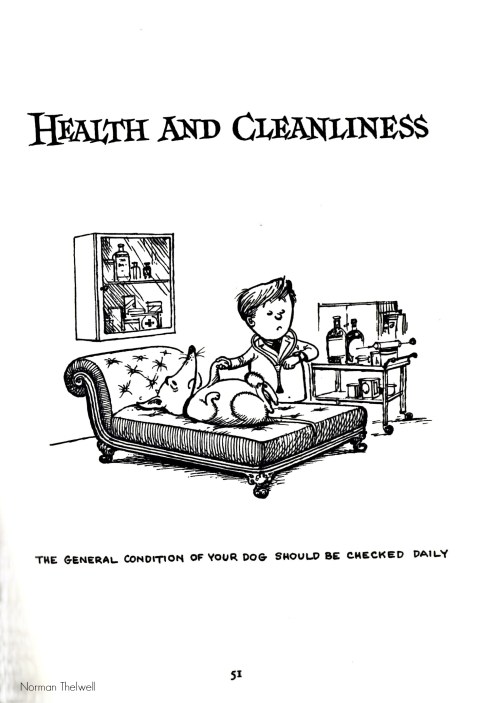 Top Dog by Norman Thelwell