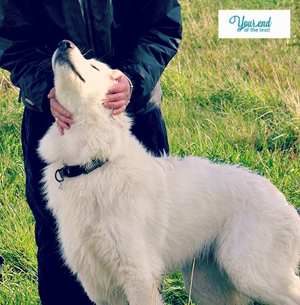 Ahh, I feel better already!