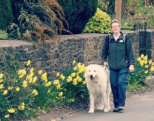 janetandlewys-300x237