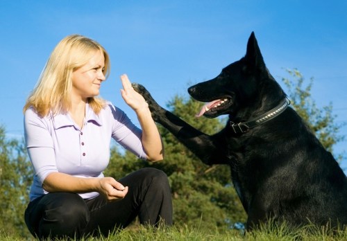 your end of the lead