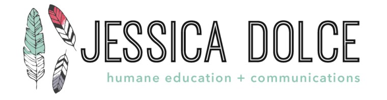 FINAL_jd_web_header_950x250