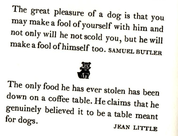 quotes Incomplete Dog Names