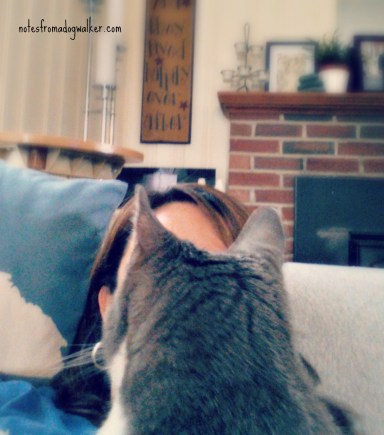 I spend most of my day with Penelope inched away from my face.