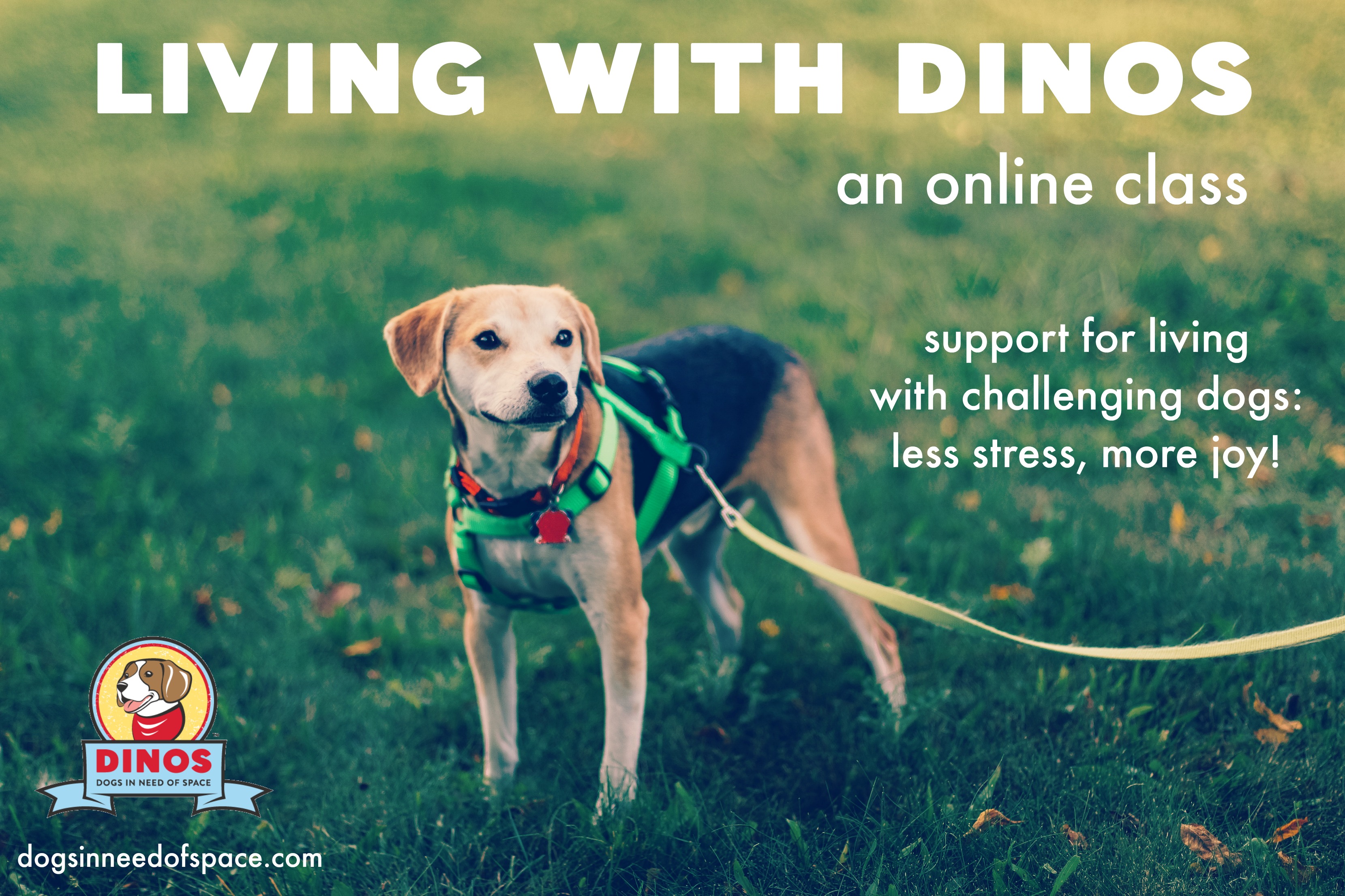 dinos-online-course-two