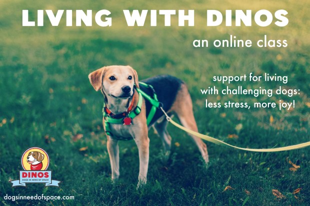 dinos-online-course-two